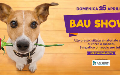 3° edizione Bau Show