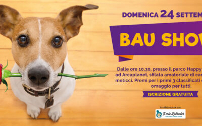 4° edizione Bau Show