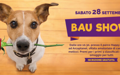 5° edizione Bau Show